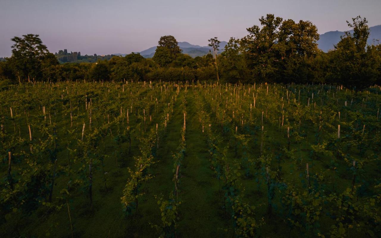 Menabde Winery Hotel Ozurget'i Екстериор снимка