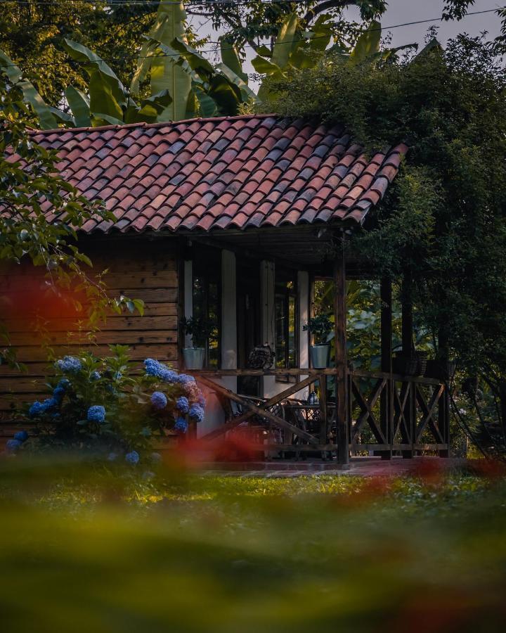 Menabde Winery Hotel Ozurget'i Екстериор снимка